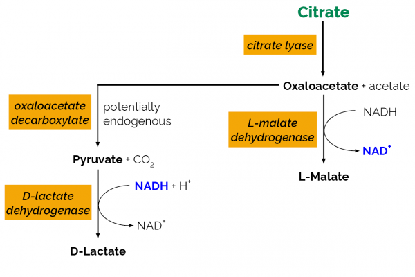 Citric Acid Assay Kit