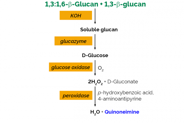Enzymatic Yeast β-Glucan Assay Kit