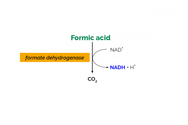 Formic Acid Assay Kit