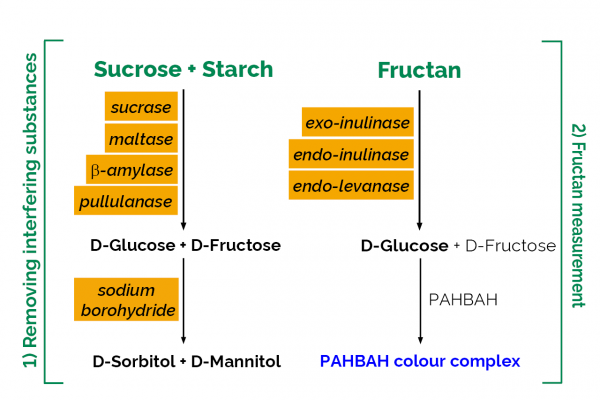 Fructan Assay Kit