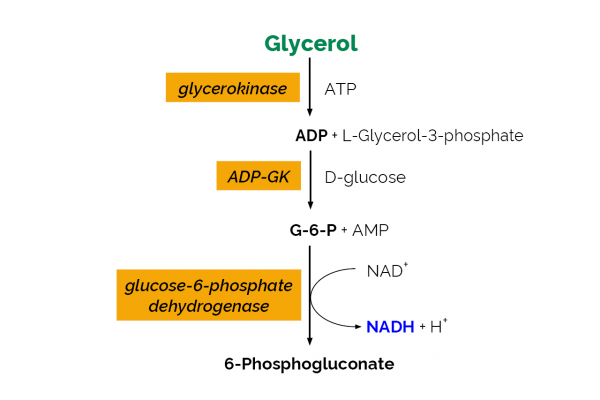 Glycerol GK Assay Kit