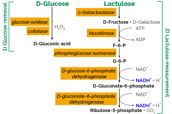 Lactulose Assay Kit