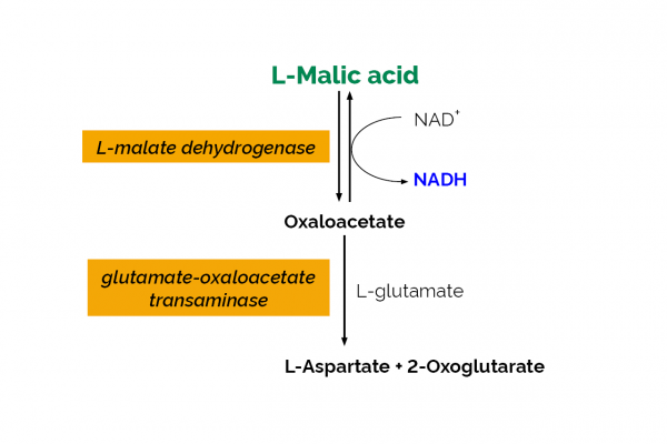 L-Malic Acid Assay Kit (Manual Format)