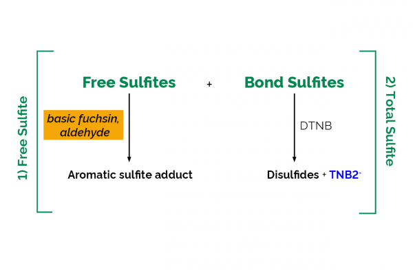 Total and Free Sulfite Assay Kit (Liquid Ready)