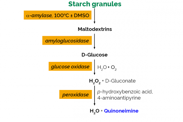 Total Starch Assay Kit (AA/AMG)