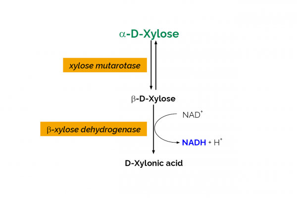 D-Xylose Assay Kit