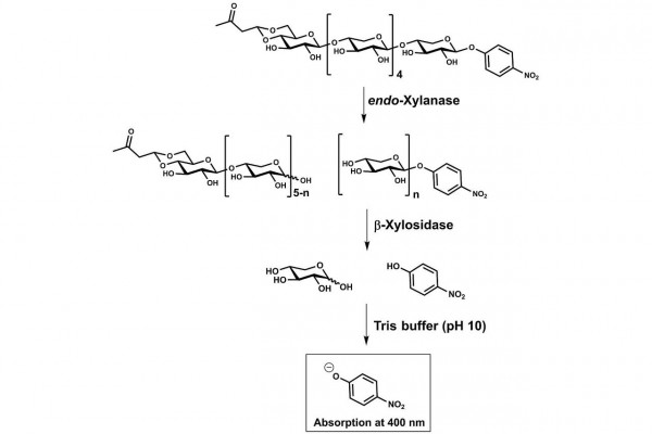 Xylanase Assay Kit (XylX6 Method)