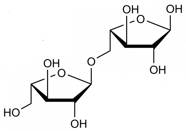 Arabinobiose