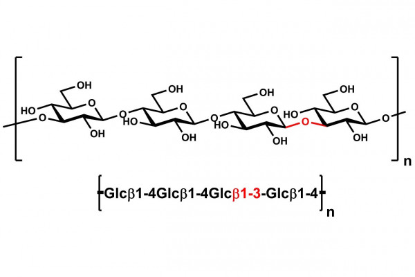 β-Glucan (Barley; High Viscosity)