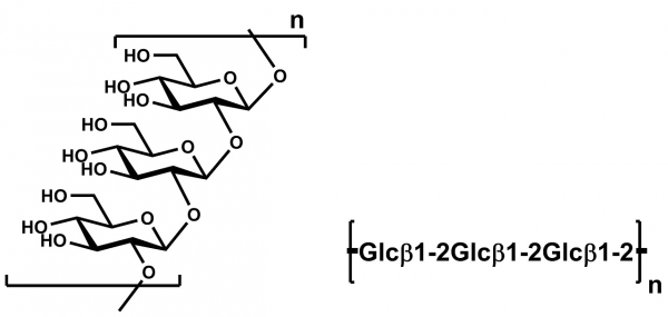 1,2-β-Glucan