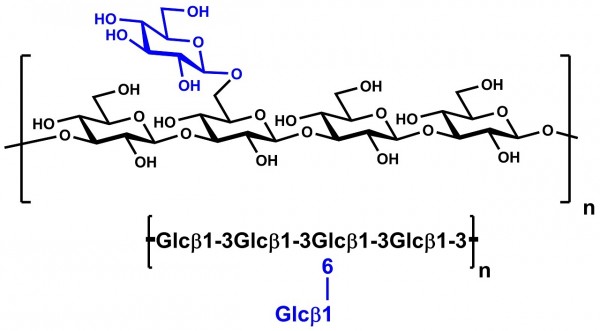 β-Glucan (Yeast; Alkali Soluble)