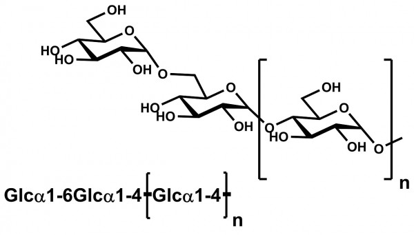 β-Limit Dextrin