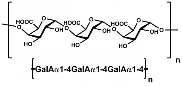 Polygalacturonic Acid (from Citrus Pectin)