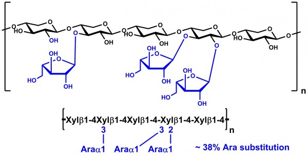 Arabinoxylan (Wheat Flour; Low Viscosity)