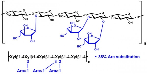 Arabinoxylan (Wheat Flour; for Reducing Sugar Assays)