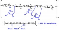 Azo-Wheat Arabinoxylan (Powder)