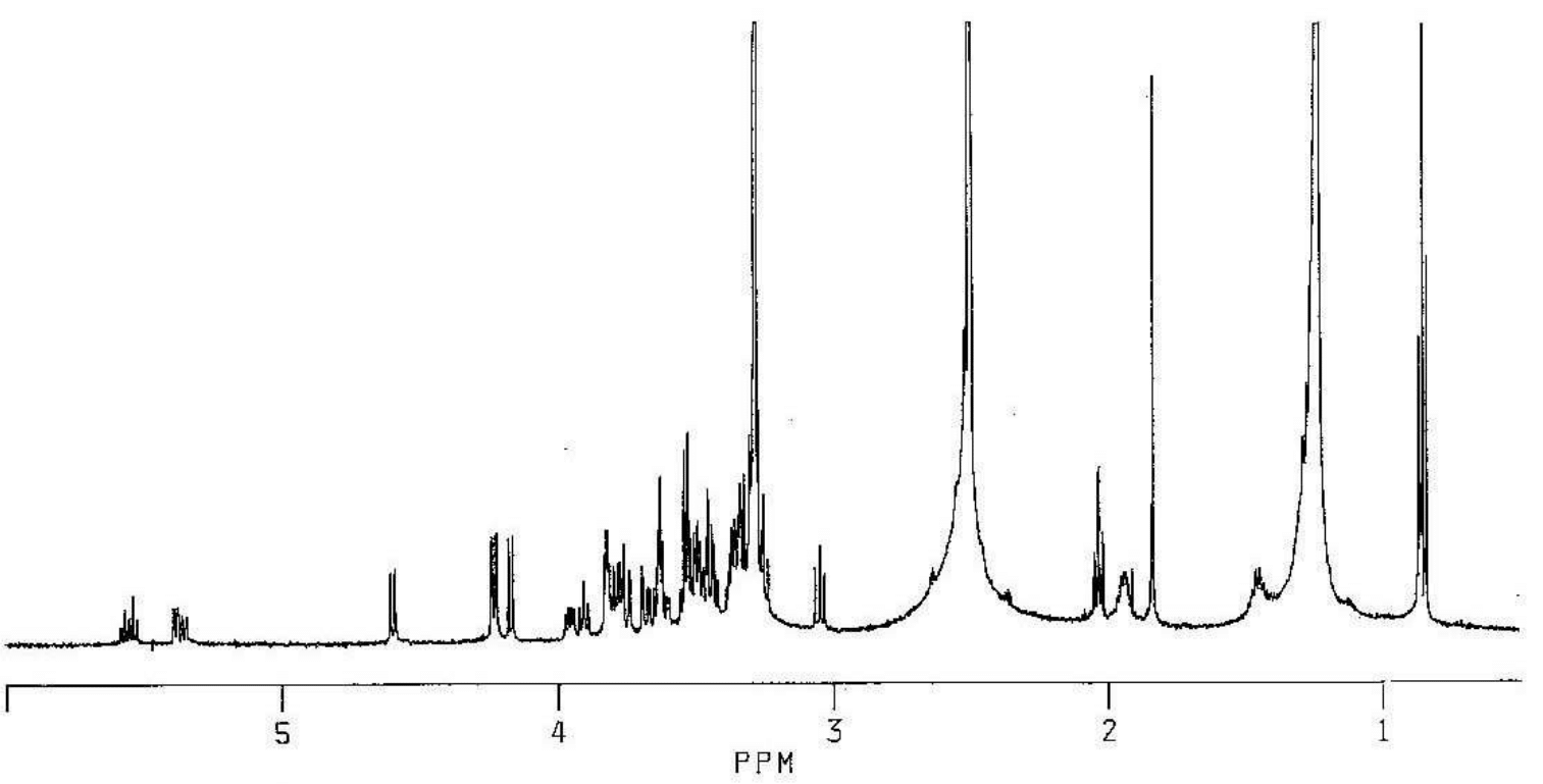 Asialo-GM1 ganglioside