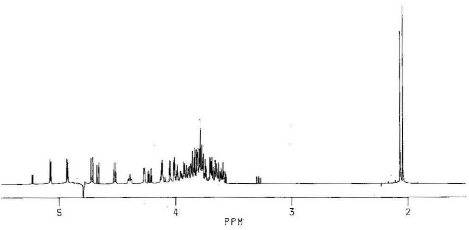 Forssman pentasaccharide