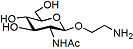 2-Aminoethyl β-N-acetylglucosamine