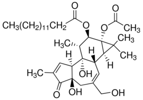 Phorbol 12-myristate 13-acetate