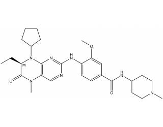 BI 2536