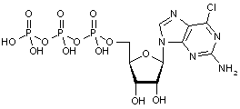2-Amino-6-chloro-(b-D-ribofuranosyl)purine-5-triphosphate