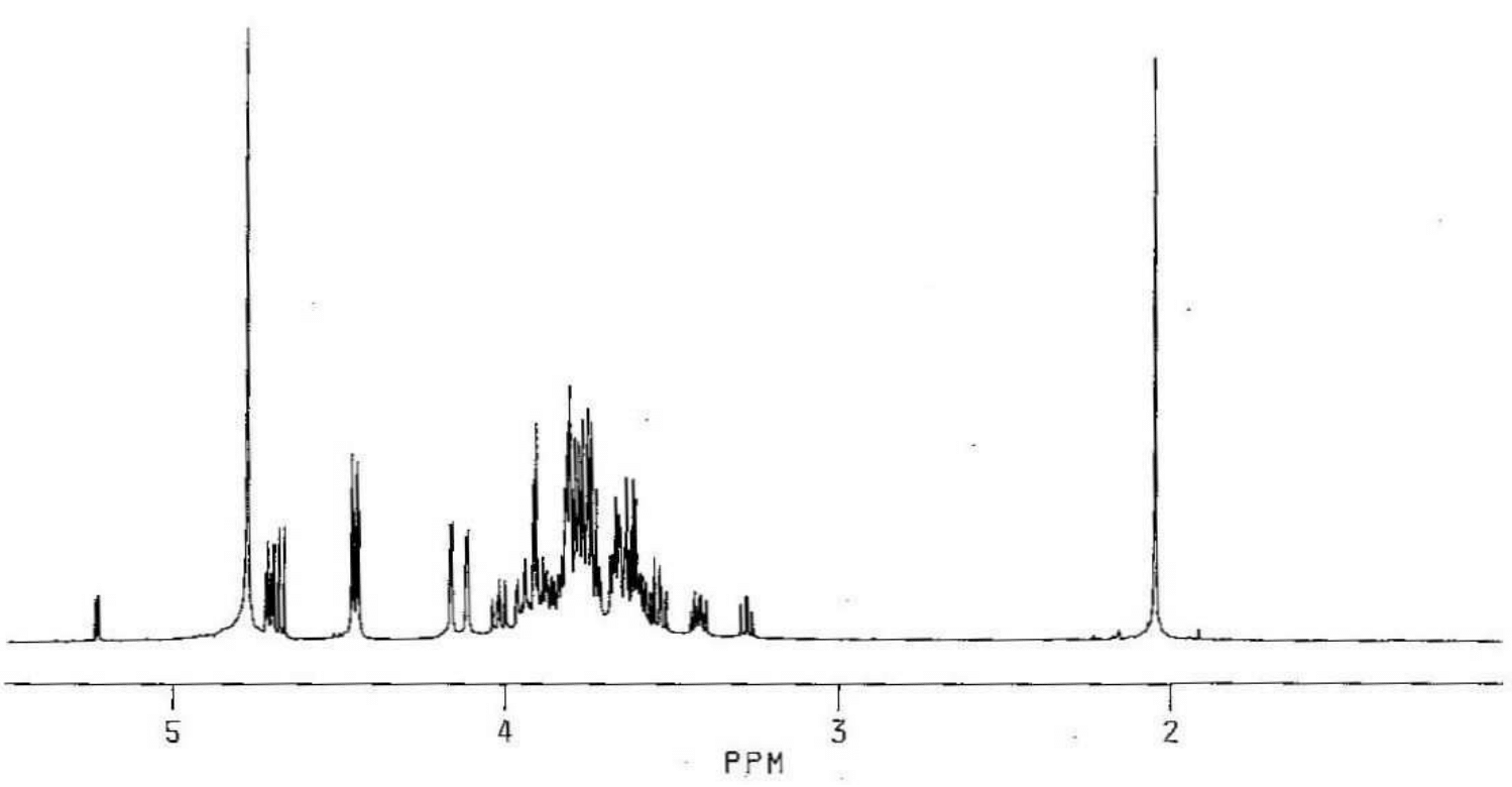 Asialo-GM1-tetrasaccharide