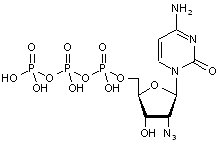 2-Azido-2-deoxycytidine-5-triphosphate