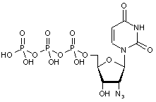 2-Azido-2-deoxyuridine-5-triphosphate
