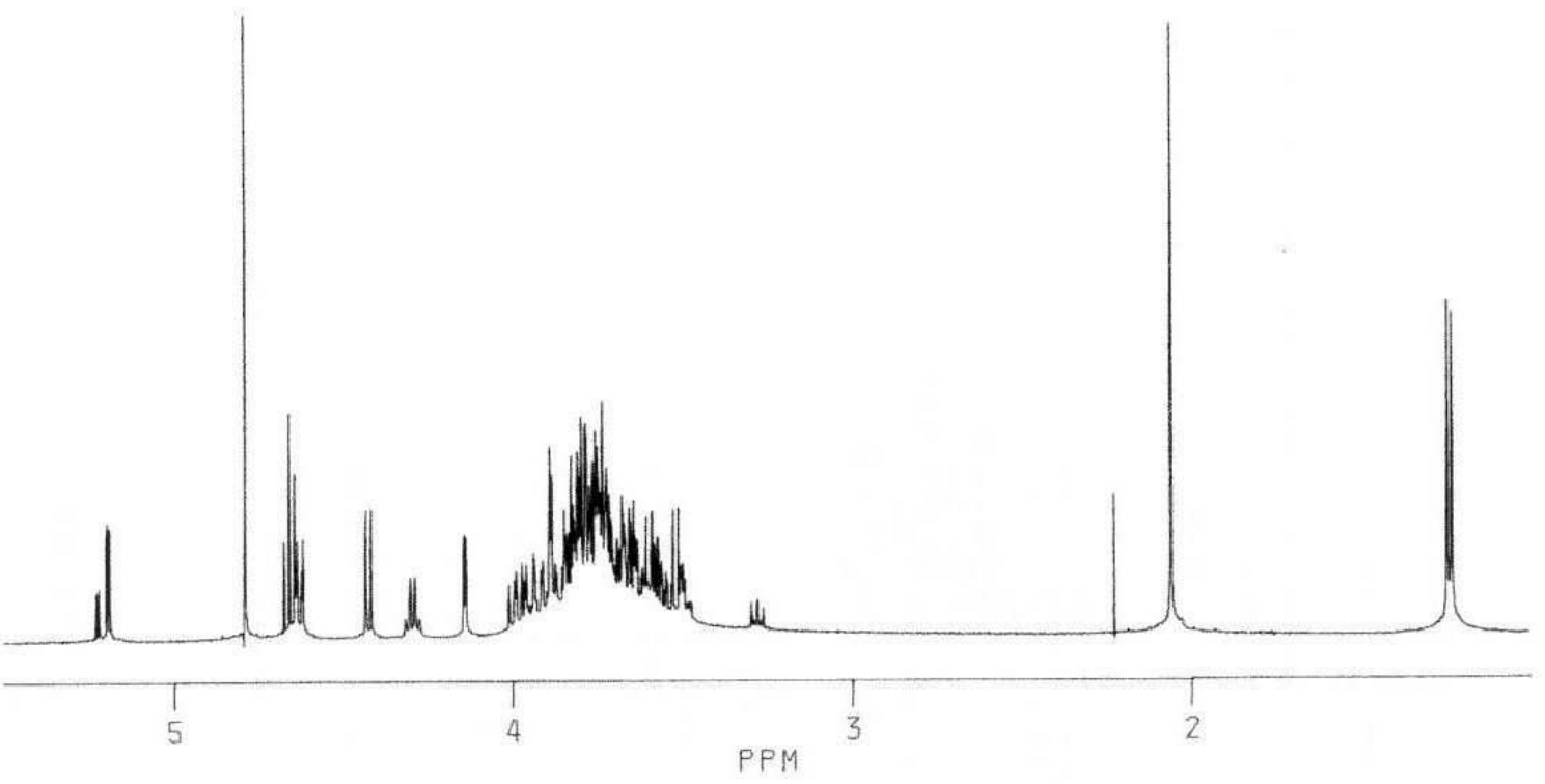 Lacto-N-fucopentaose I