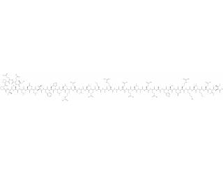 Corticotropin-releasing factor (human, rat)