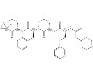 Carfilzomib