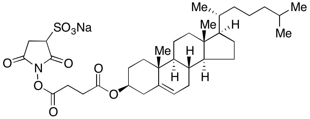 Cholesterol Sulfo-NHS Succinate Sodium Salt