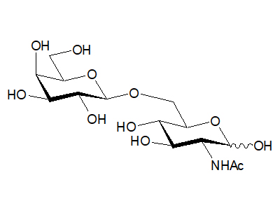 N-Acetylallolactosamine
