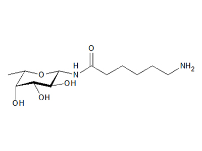 N-(ε-Aminocaproyl)-β-L-fucopyranosylamine