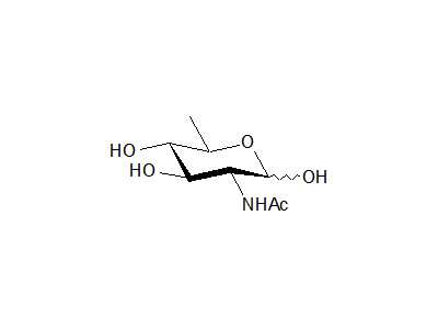 N-Acetyl-D-quinovosamine