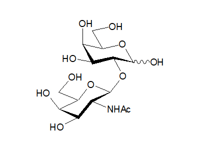 2-O-(2-Acetamido-2-deoxy-β-D-galactopyranosyl)-D-galactose