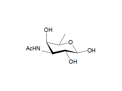 3-Acetamido-3,6-dideoxy-D-galactose