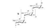Guluronate oligosaccharides DP25-DP45