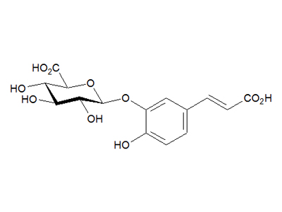 Caffeic acid 3-O-β-D-glucuronide