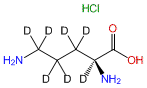 L-Ornithine-2,3,3,4,4,5,5-d7 HCl