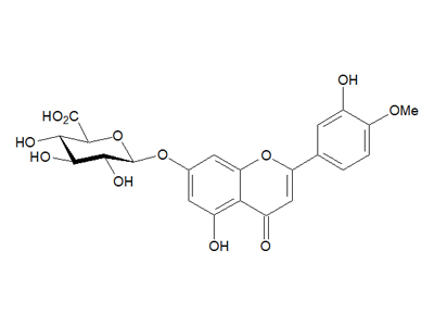 Diosmetin 7-O-β-D-glucuronide