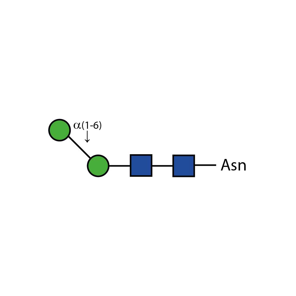 A-(1,6) core mannosidase