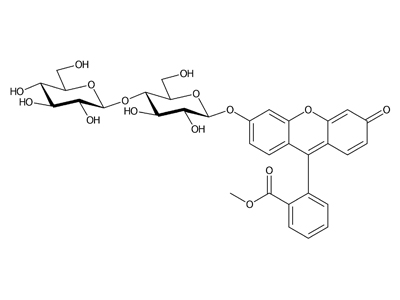 Fluorescein methyl ester β-D-cellobioside