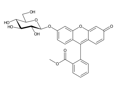 Fluorescein methyl ester β-D-glucopyranoside