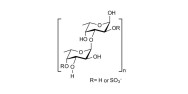 Fucoidan polysaccharide from Chorda filum