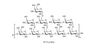 Sulfated Arabinogalactan polysaccharide from Codium f. (Fine grade)
