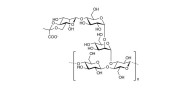 Xanthan gum polysaccharide