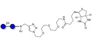 Cellobiose linked to biotin (Linker-BT A)