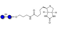 Cellobiose linked to biotin (Linker-BT B)